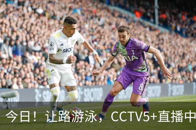今日！让路游泳，CCTV5+直播中国男篮VS伊朗，郭士强率爱将胡明轩等CBA球员冲击亚运会铜牌